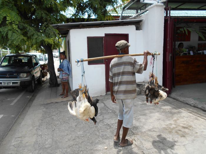 Sprzedawca żywych kur w Timorze Wschodnim