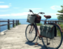 rower na ścieżce przy jeziorze