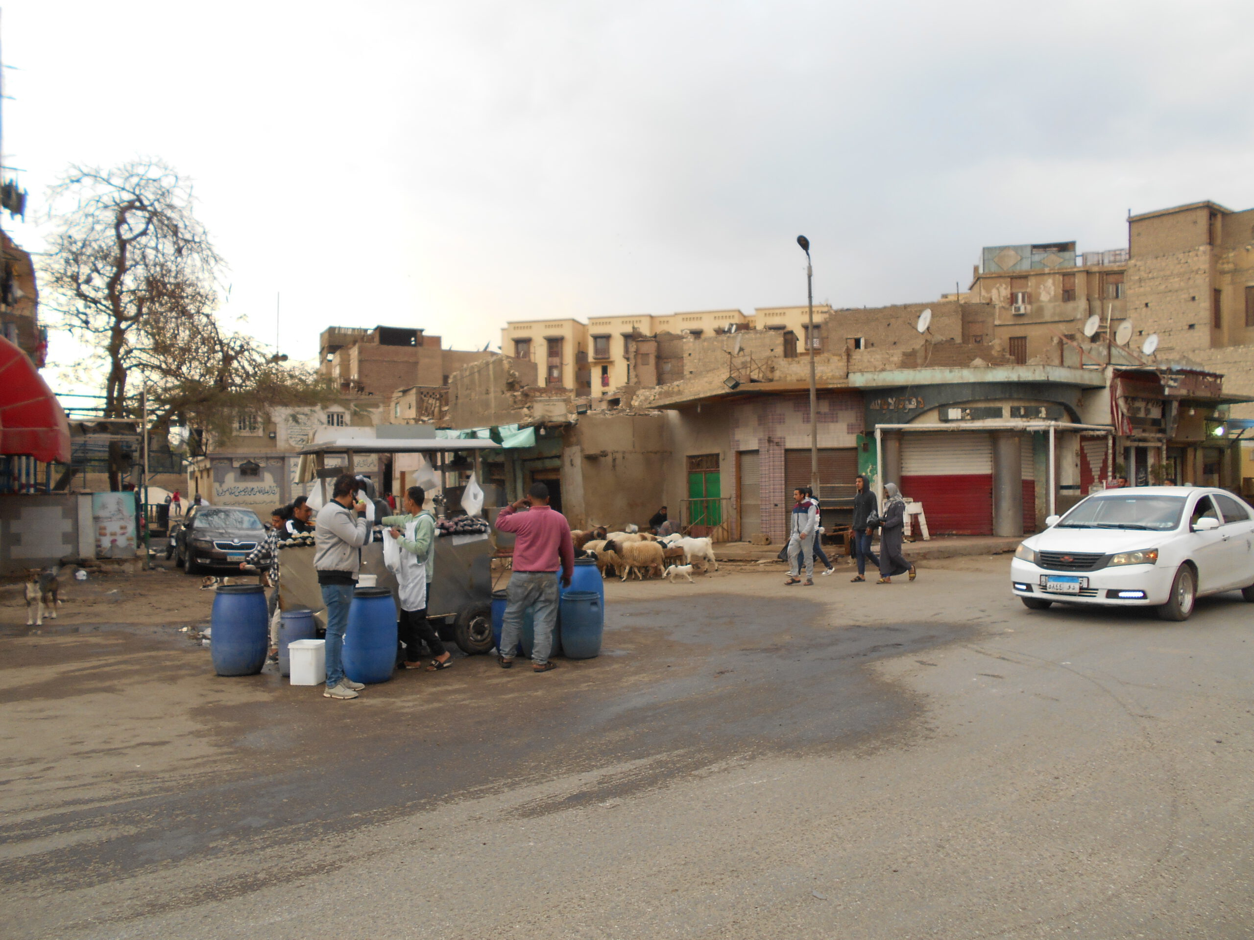 Wycieczka po kairskich slumsach