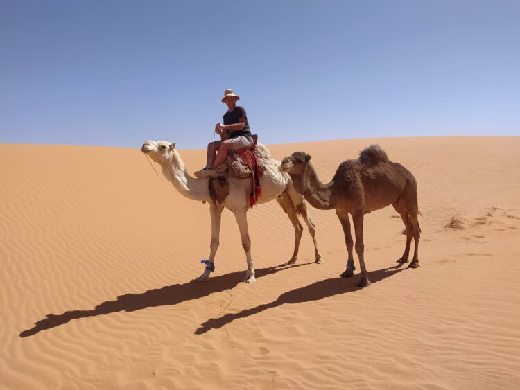 Przez Saharę na wielbłądzie