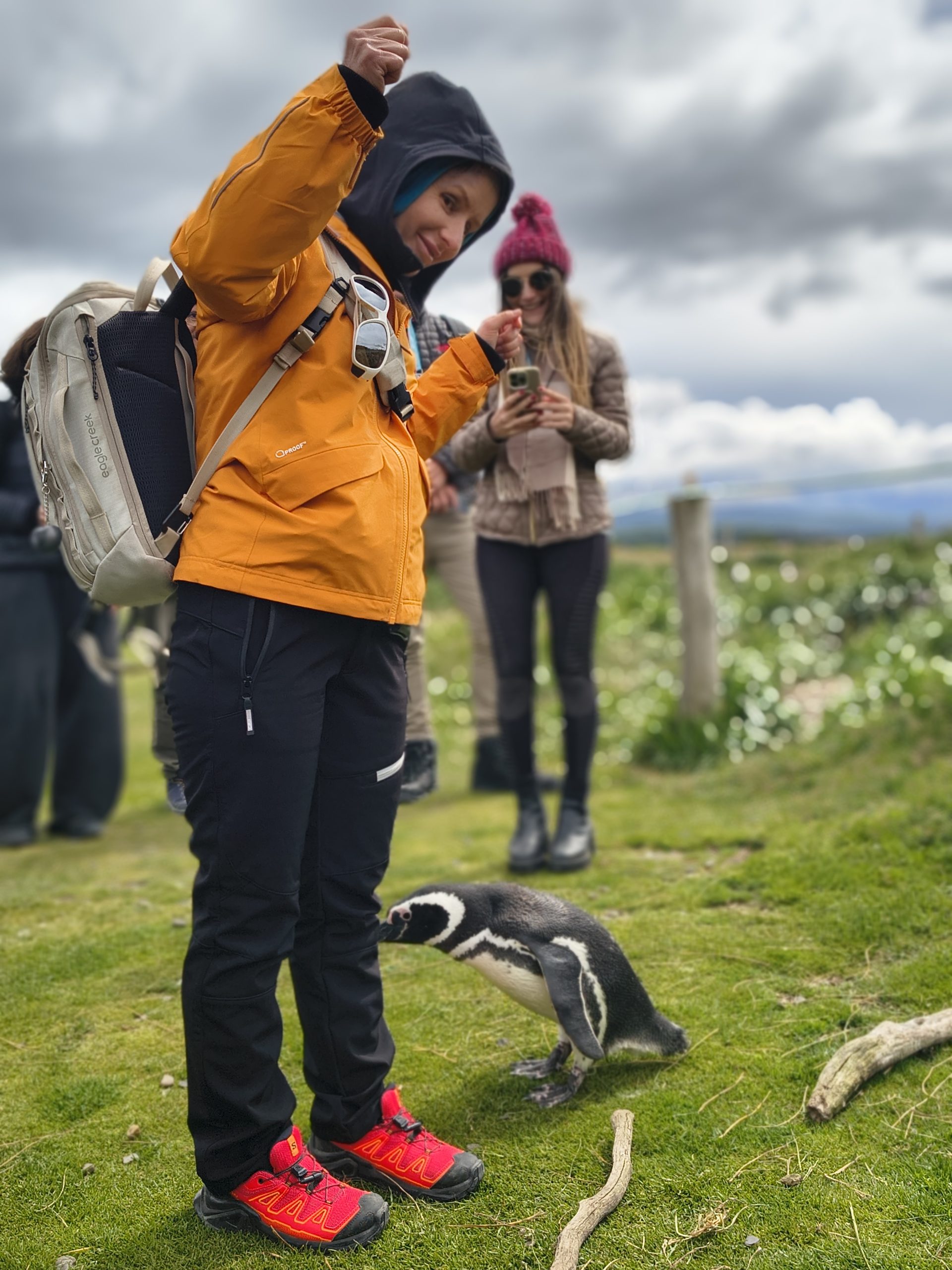Koleżankę skubnął pingwin!