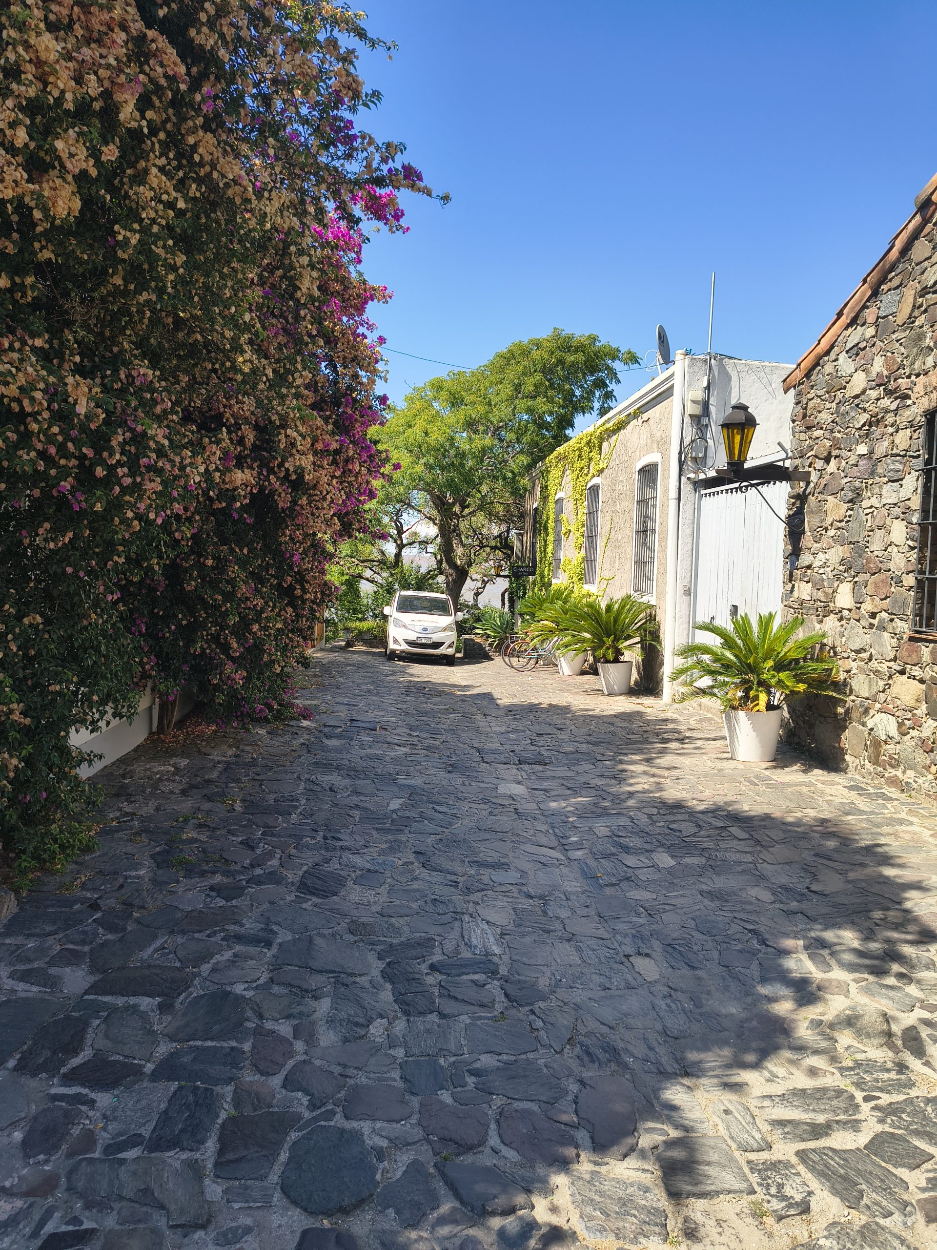 Ulica w Colonia del Sacramento