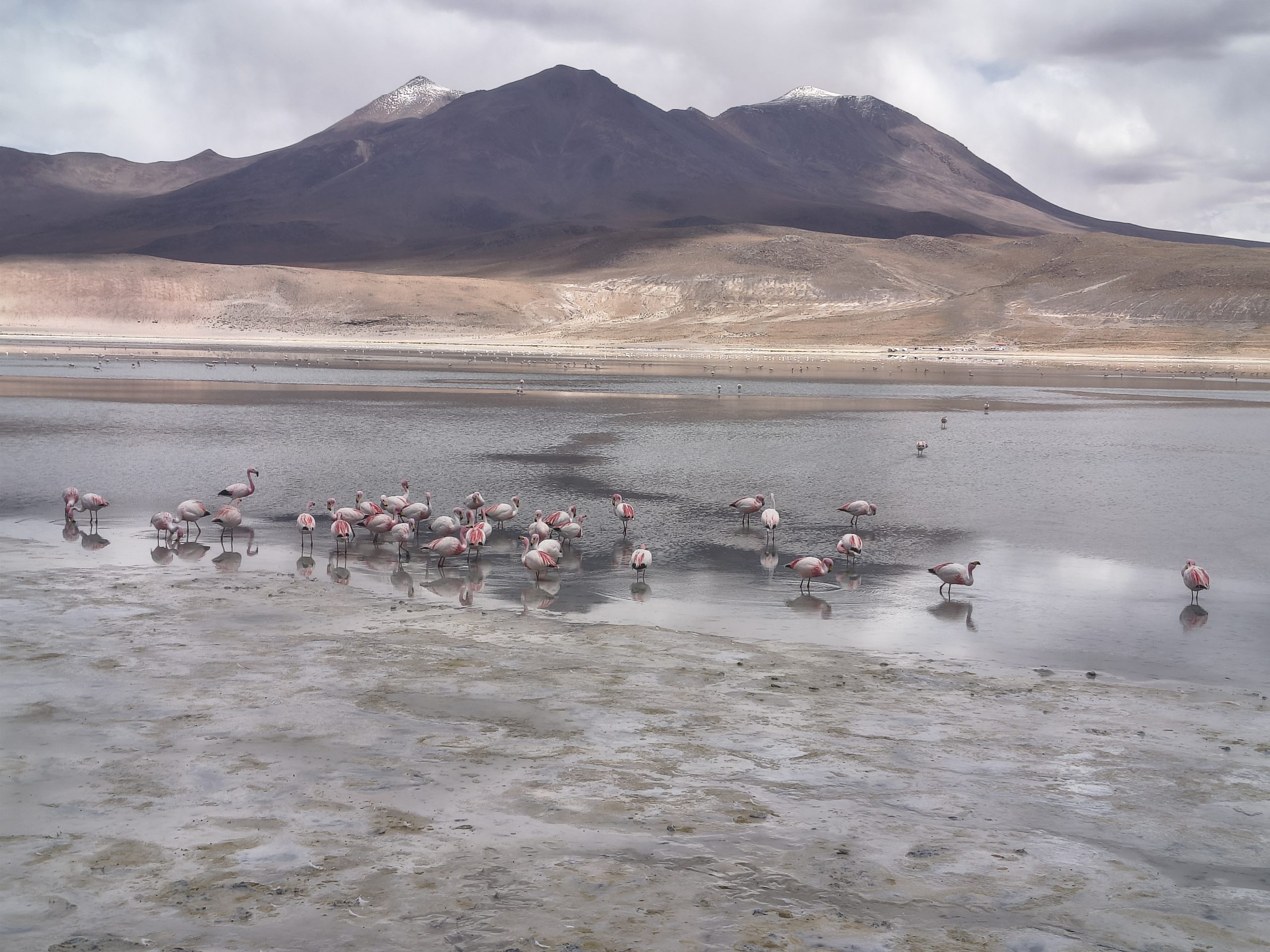 A później to było ich więcej i więcej...