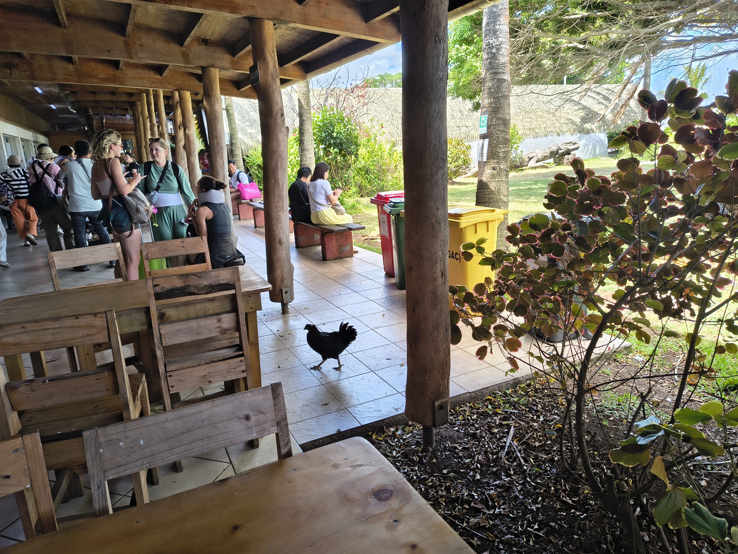 Kury nas żegnają w hali odlotów