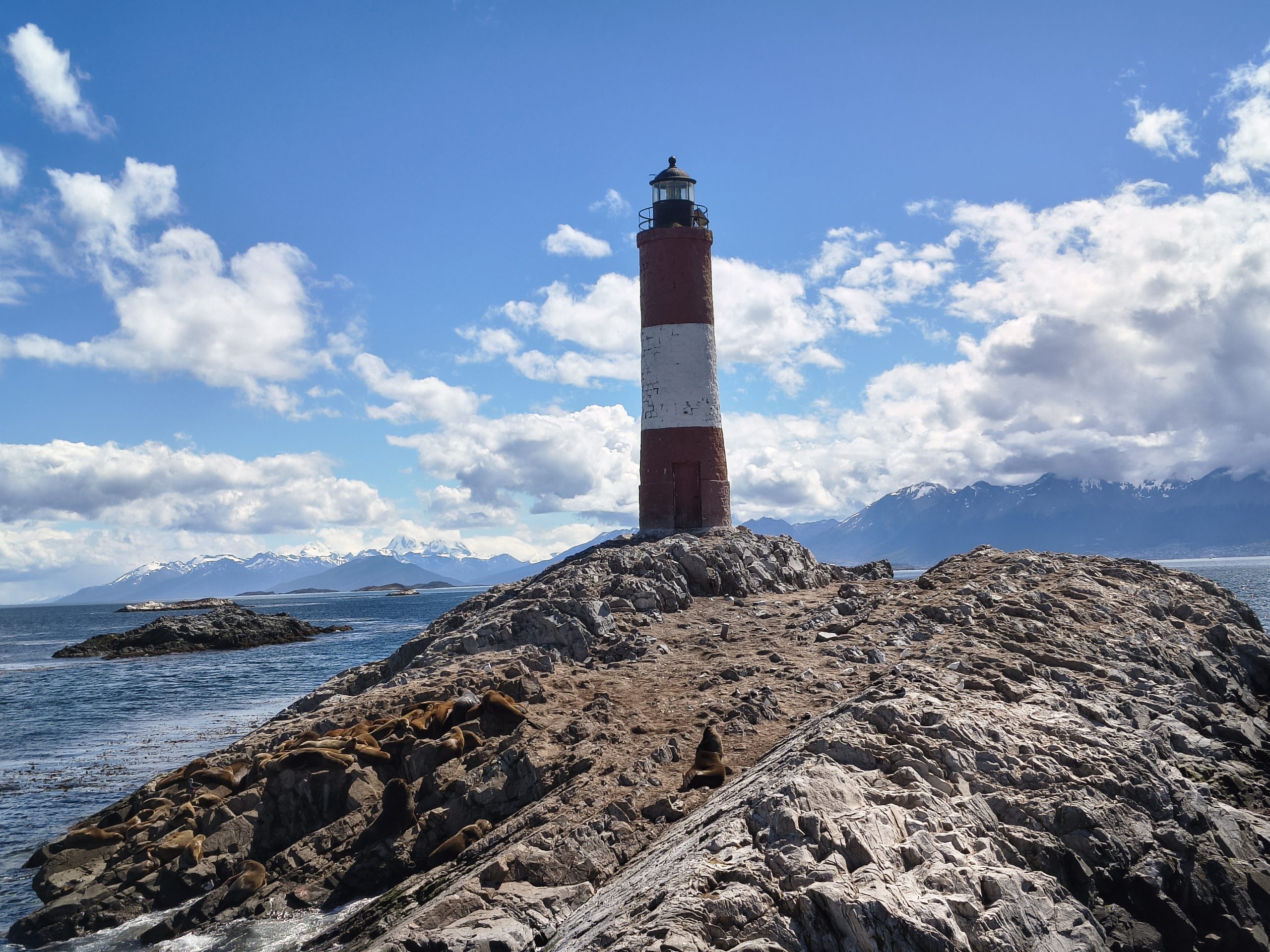 Lwy morskie wygrzewają się w słońcu przy latarni morskiej k. Ushuaia