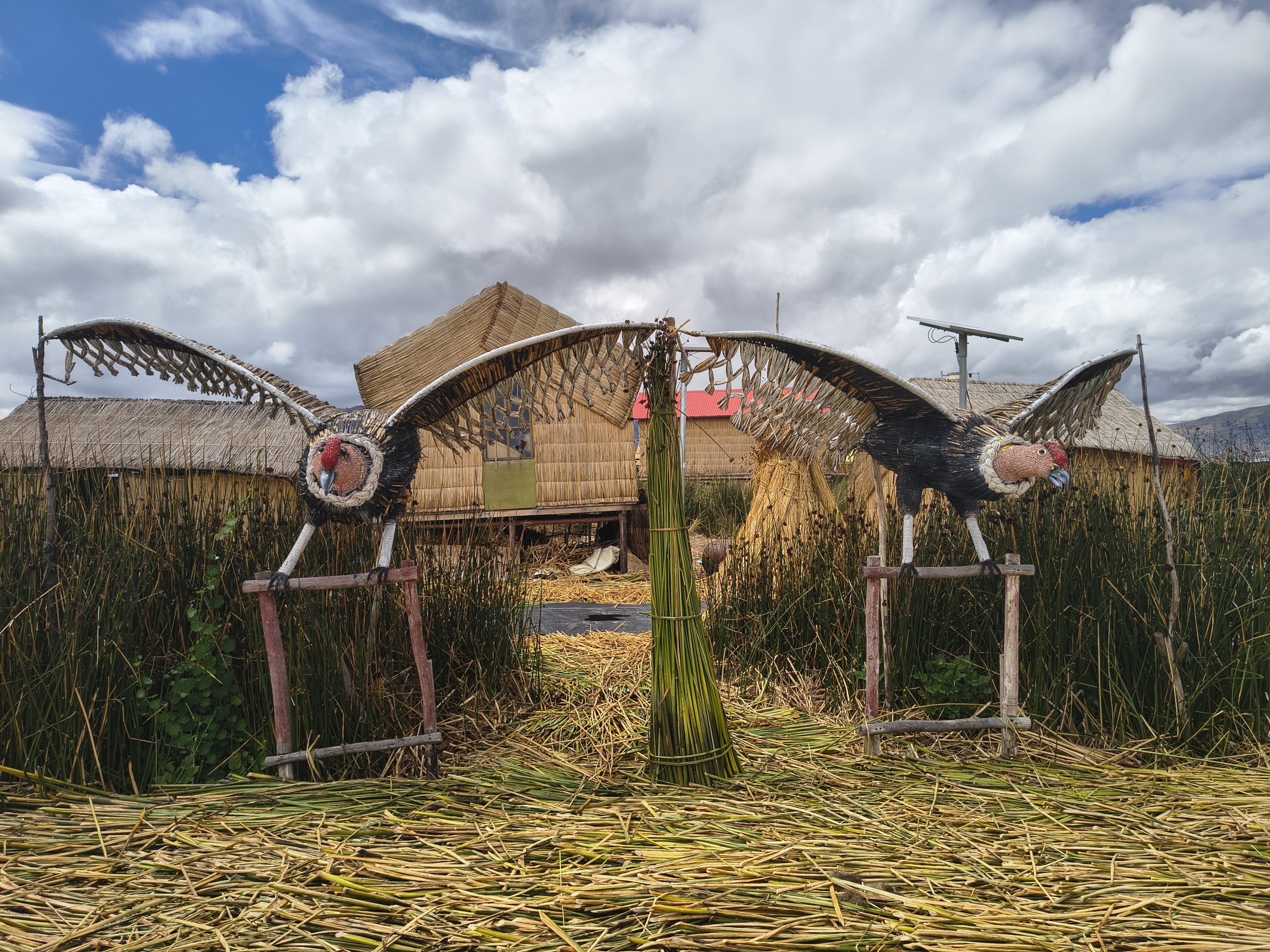 Condory strzegą wejścia do zagrody na pływającej wyspie Uros