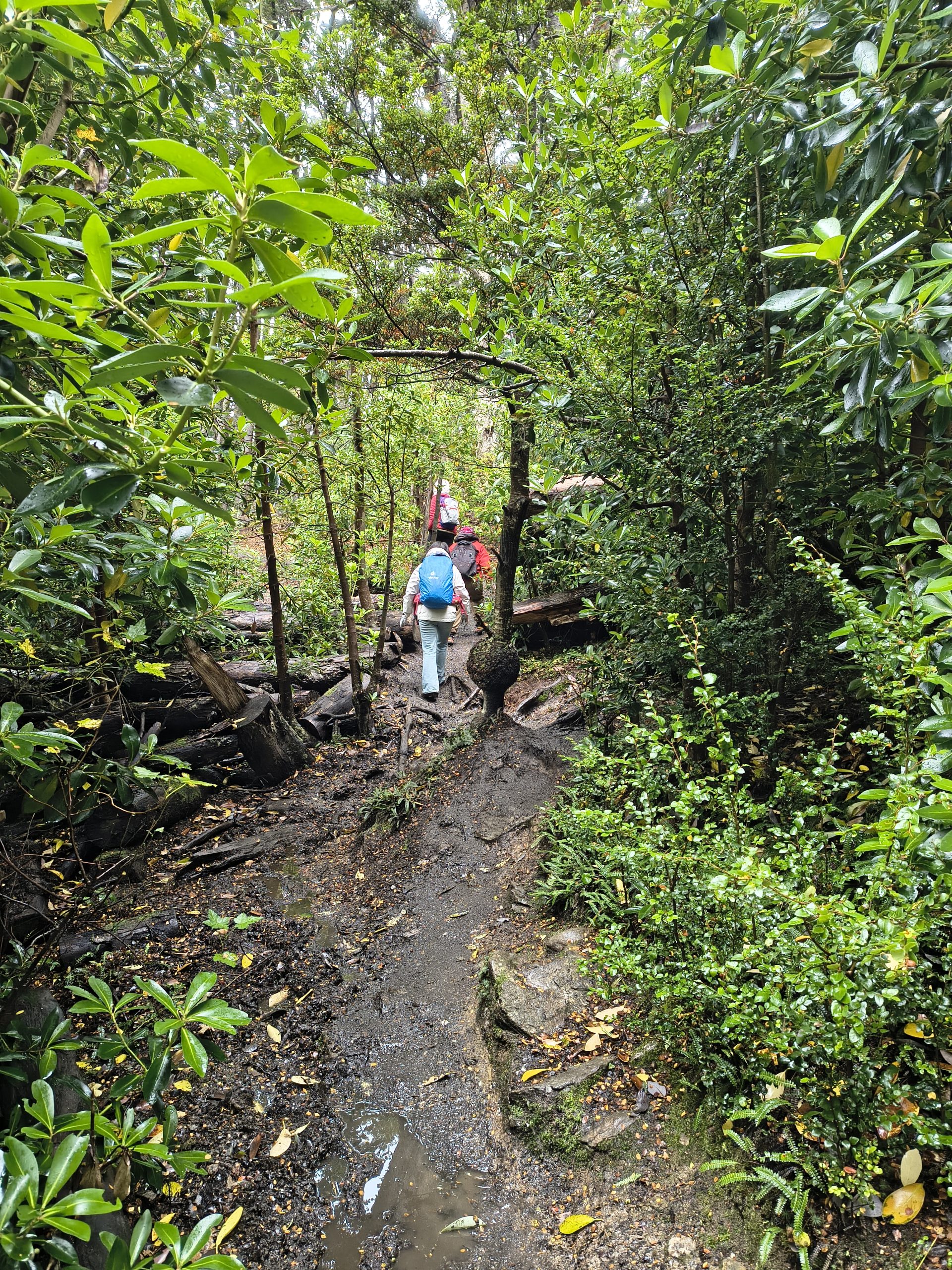 Trekking w Parku Narodowym