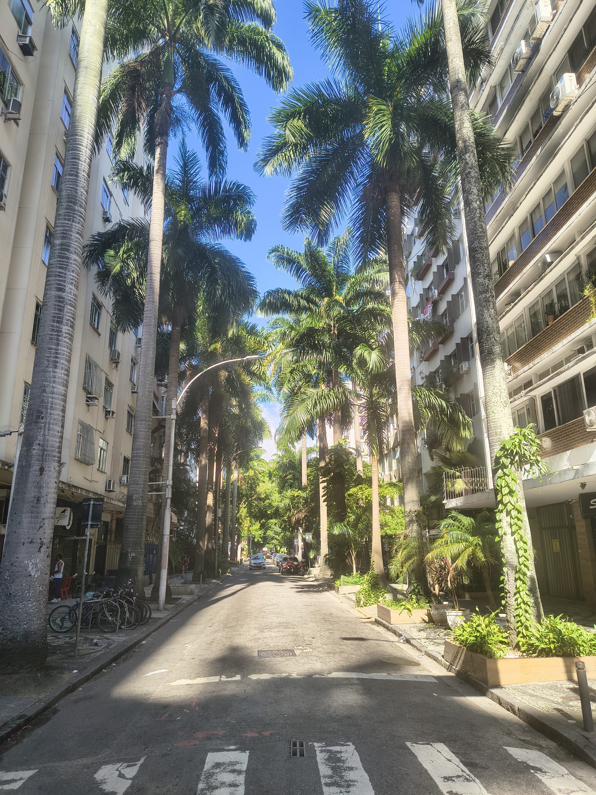 Ulica w Rio de Janeiro